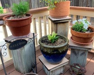 plants and flower pots