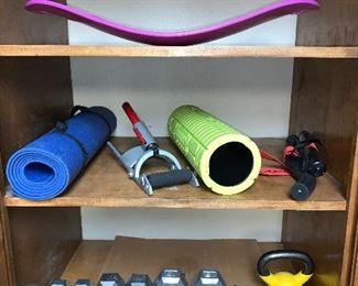 exercise weights and fitness accessories 