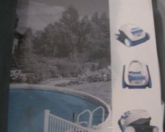 Dolphin Pool Cleaner. 