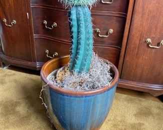 Artificial Cactus in Ceramic Container
