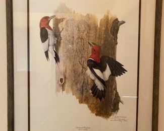 Ray Harm Woodpecker Print