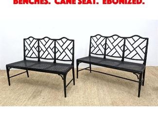 Lot 116 Pair Faux Bamboo Settee Benches. Cane Seat. Ebonized.