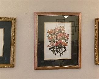 floral framed pictures 