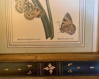 Edwards Old botanical Framed Print