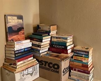 Mystery Book Lot