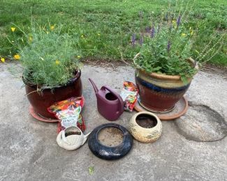 Plants Pots