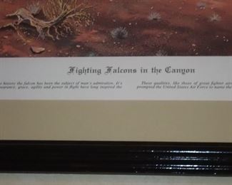 FIGHTING FALCONS IN THE CANYON