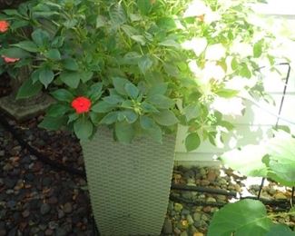 TALL PLANTER WITH GREEN PLANTS