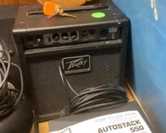 Peavy speakers, auto stack 550.
