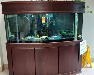 150 gallon bow front aquarium with custom filter and pump $899.00 