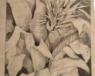 Jane Paden ‘Bromeliads” Original Charcoal Drawing (11” x 14”)