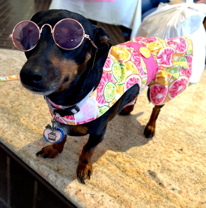 Galveston Yacht Club starts on 7/29/2021