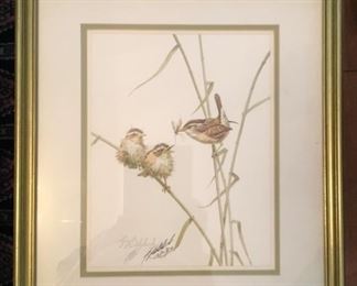 Framed Print signed by Guy Coheleach