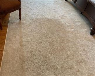 13’10” x 11’11” large neutral area rug