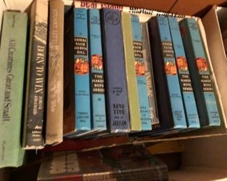 The Hardy Boys Series