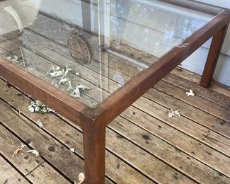 Glass and Wood Coffee Table