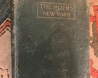 Book Room 
Plums of NY