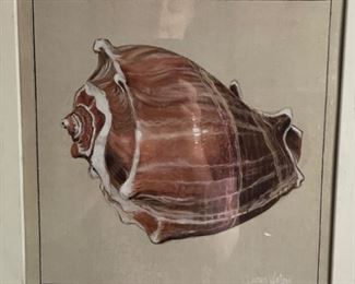 Set of three framed sea shells. Measures approximately 18" x 18". Photo 1 of 3.