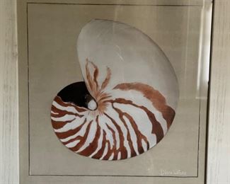 Set of three framed sea shells. Measures approximately 18" x 18". Photo 3 of 3.
