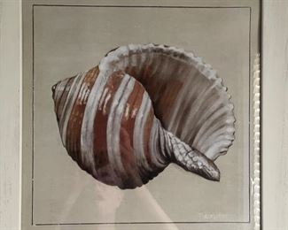 Set of three framed sea shells. Measures approximately 18" x 18". Photo 2 of 3.