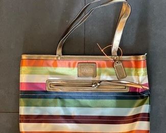 Coach metallic stipe bag.