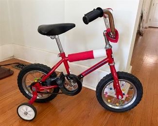 Zephyr Children's Bike with Training Wheels