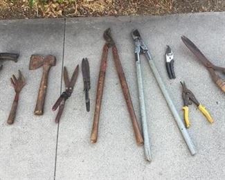 Variety of Garden Hand Tools