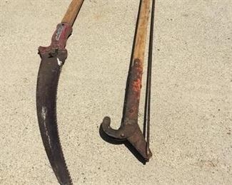 Tree Branch Extension Saw and Lopper