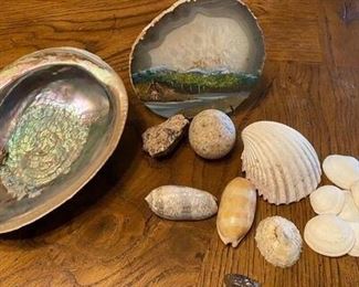 Seashells and Painted Geode Slice