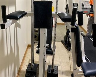 Weider Pro 9635 Multi station Nautaulis home gym $375