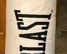 Everlast Punching Bag $50