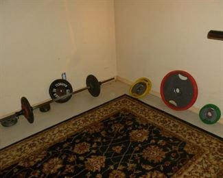 More weights.
The colored ones are Olympic weights vinyl wrapped..being sold as a set
