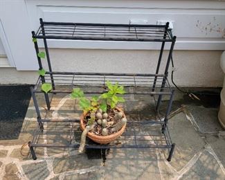 Three-tier plant stand - 23" high x 31" wide x 24" deep