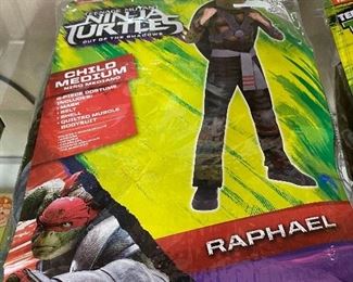 Raphael Ninja Turtles Costume in Package