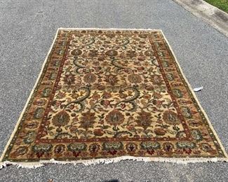 Gorgeous Area Rug Professionally Cleaned