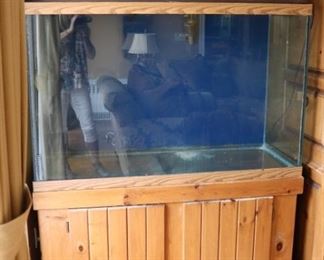 Large Fish Tank