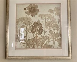 Framed Sepia pressed floral prints (Random Harvest)