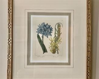 Framed botanical print (Random Harvest)