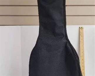 Fender guitar bag.