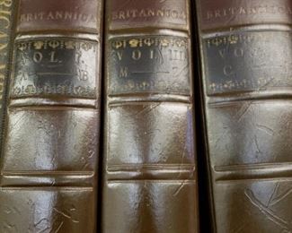 Several Series Reference Books including Encylopedias, Rare Science Annuals, and Dictionaries