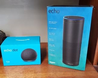 Amazon Echo and Echo Dot