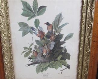 Antique prints of all kinds