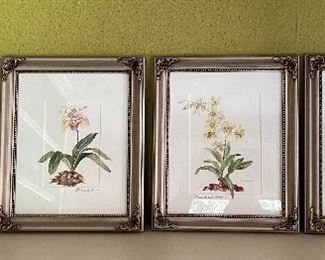 J. Waldman Orchid watercolors