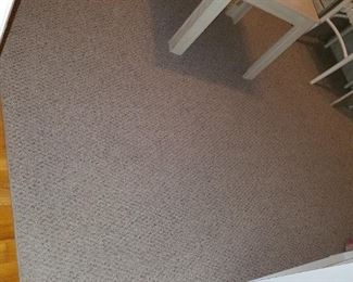 large area rug, berber-like. finished edges