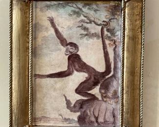 Set of 4 framed monkey prints. Each measures 5' x 8'. Photo 1 of 4. 