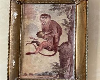 Set of 4 framed monkey prints. Each measures 5' x 8'. Photo 2 of 4. 