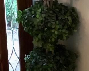LARGE TOPIARY #2