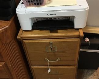 Printer, 2 drawer wood file cabinet
