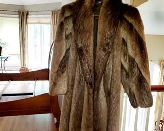 Beaver coat, full length, good for crafts 