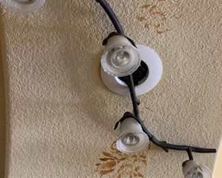Decorative Track Lighting CUSTOMER RESPONSIBLE FOR SAFE REMOVAL.